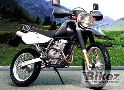 2008 Suzuki Djebel 250XC photo
